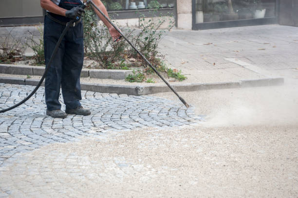 Best Pre-Holiday Cleaning  in Bell Nyon, CA